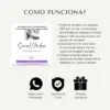 social media xpert pack